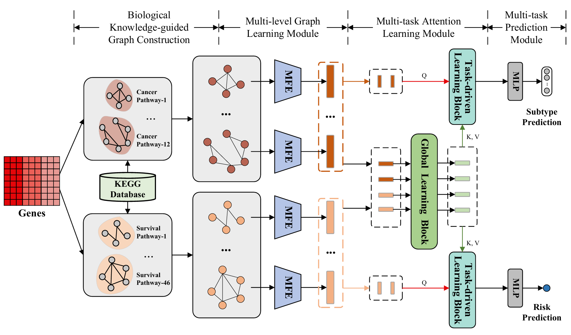 BioMTAN: A Biological Knowledge-guided Multi-task Attention Network for Co-enhanced Cancer Diagnosis and Prognosis