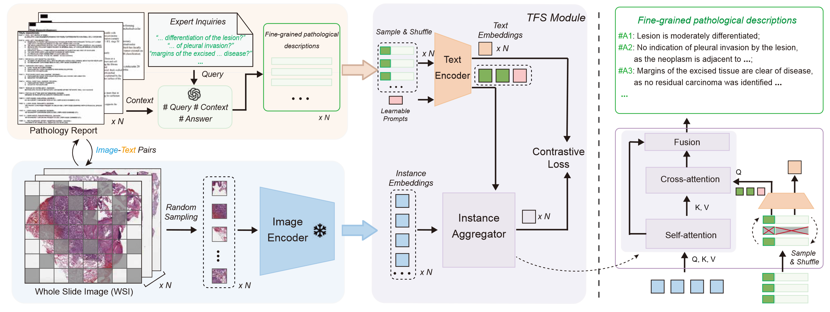Generalizable whole slide image classification with fine-grained visual-semantic interaction