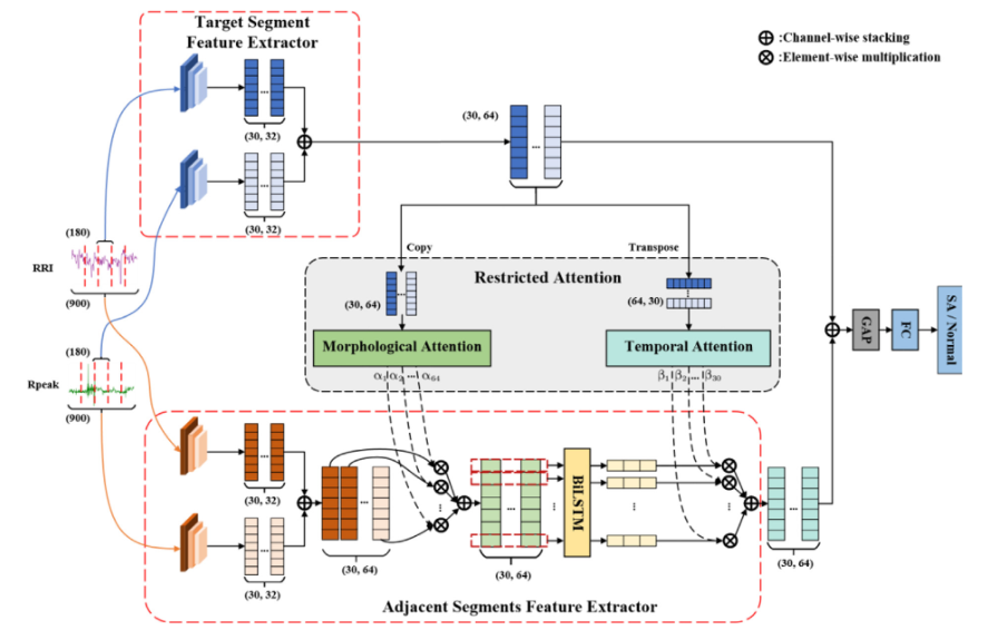 RAFNet-Restricted attention fusion network for sleep apnea detection