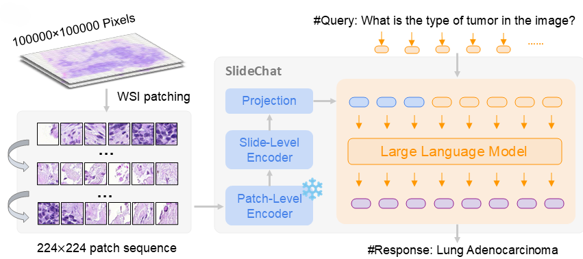 Slidechat-A large vision-language assistant for whole-slide pathology image understanding