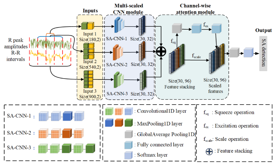 SE-MSCNN-A Lightweight Multi-scaled Fusion Network for Sleep Apnea Detection Using Single-Lead ECG Signals